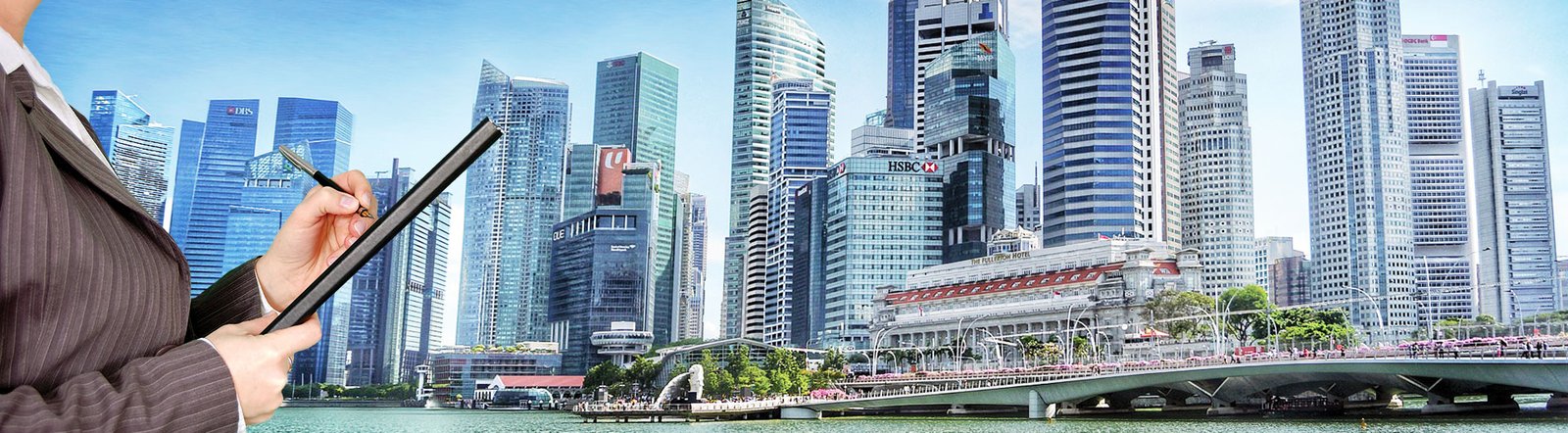 singapore company registration number check online